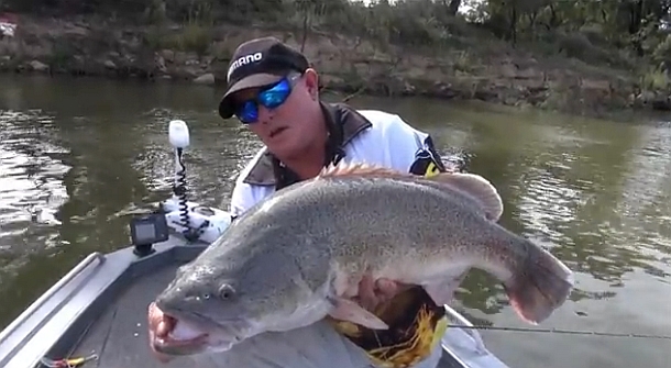VIDEO: Trolling for Murray cod